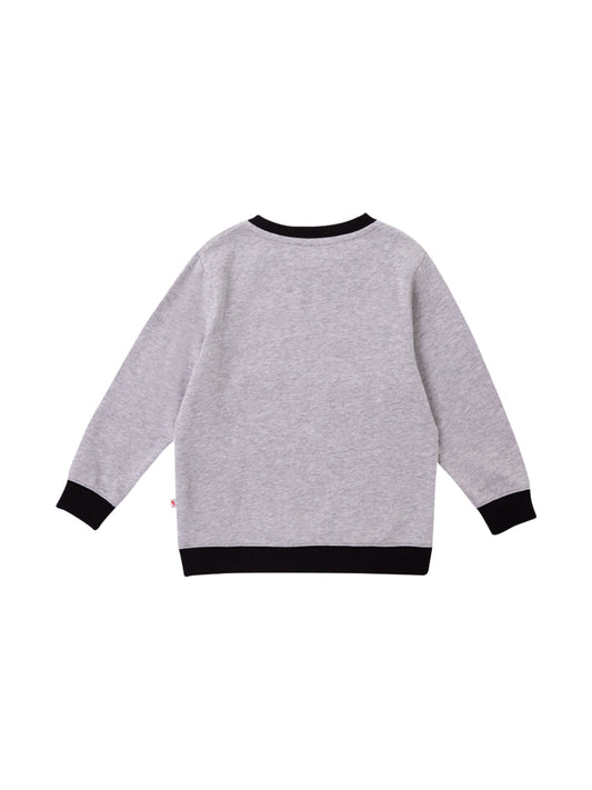 Boys Raccoon Marvelous Sweatshirt