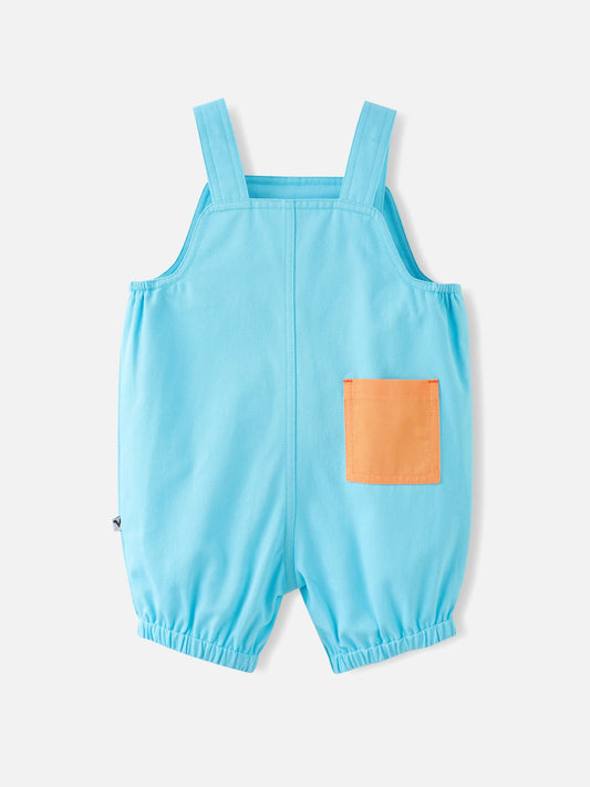 Baby Boys Dungarees