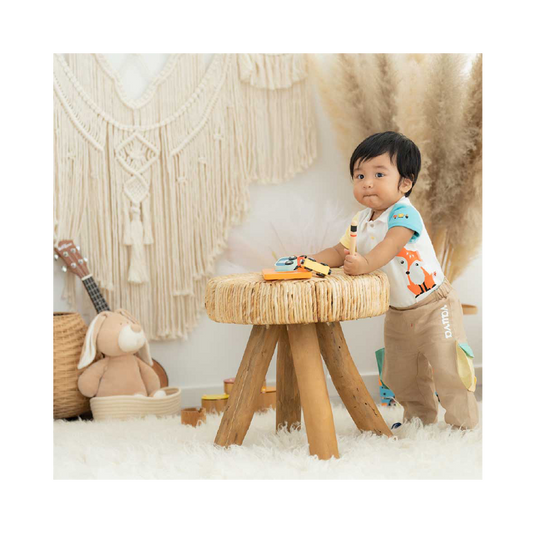 Organic Cotton Baby 2-Packs Fox & Bear Bodysuits