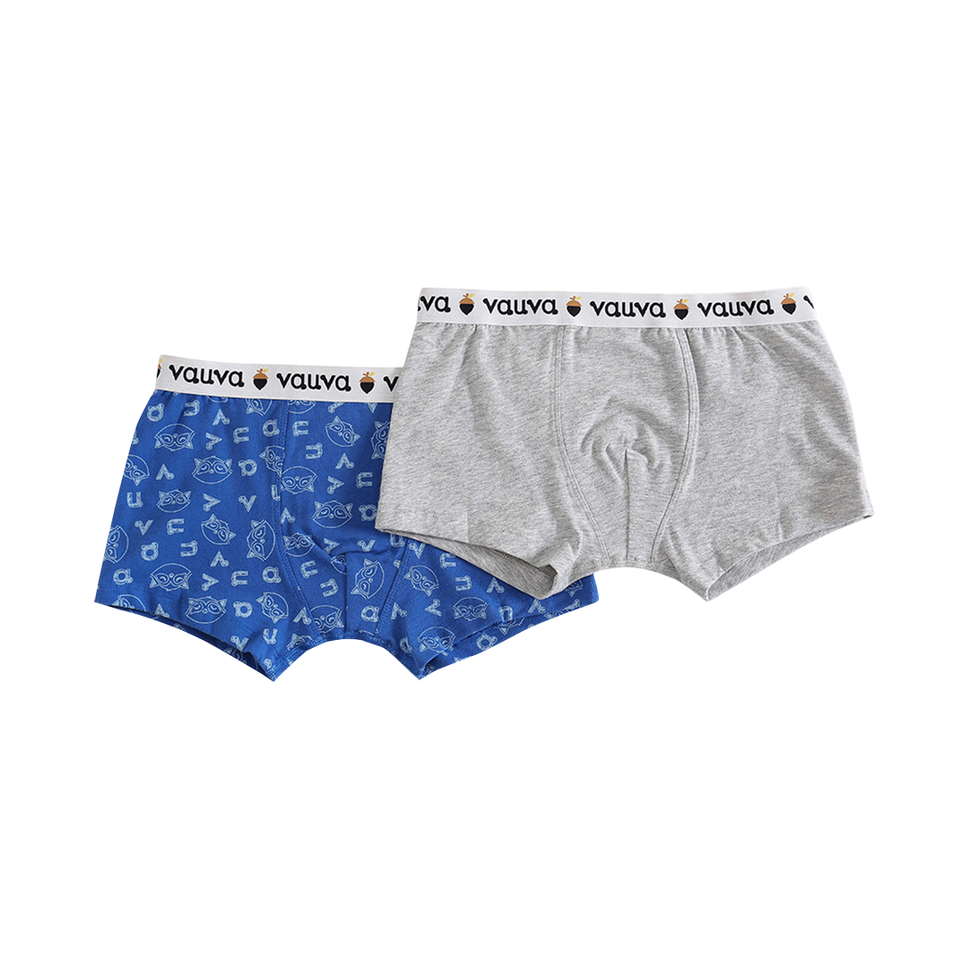 Boys Organic Cotton Underwear / Grey