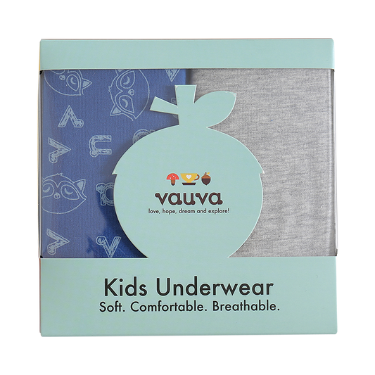 Boys Organic Cotton Underwear / Grey