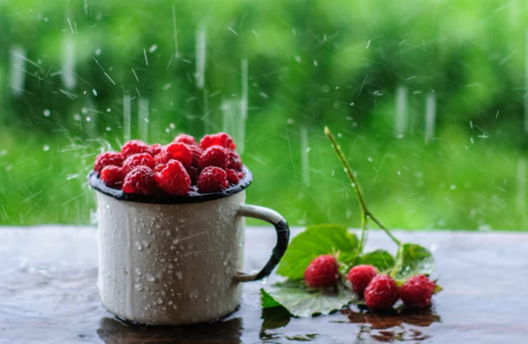 Ready for changing weather — original My Little Korner article cover