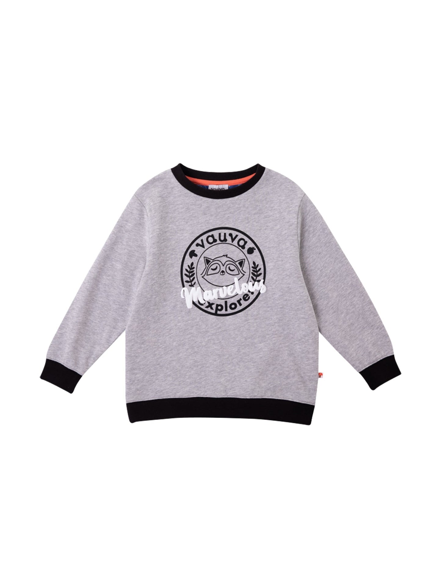 Boys Raccoon Marvelous Sweatshirt