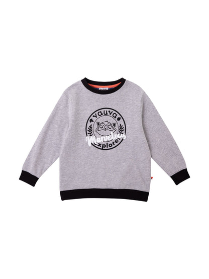 Boys Raccoon Marvelous Sweatshirt