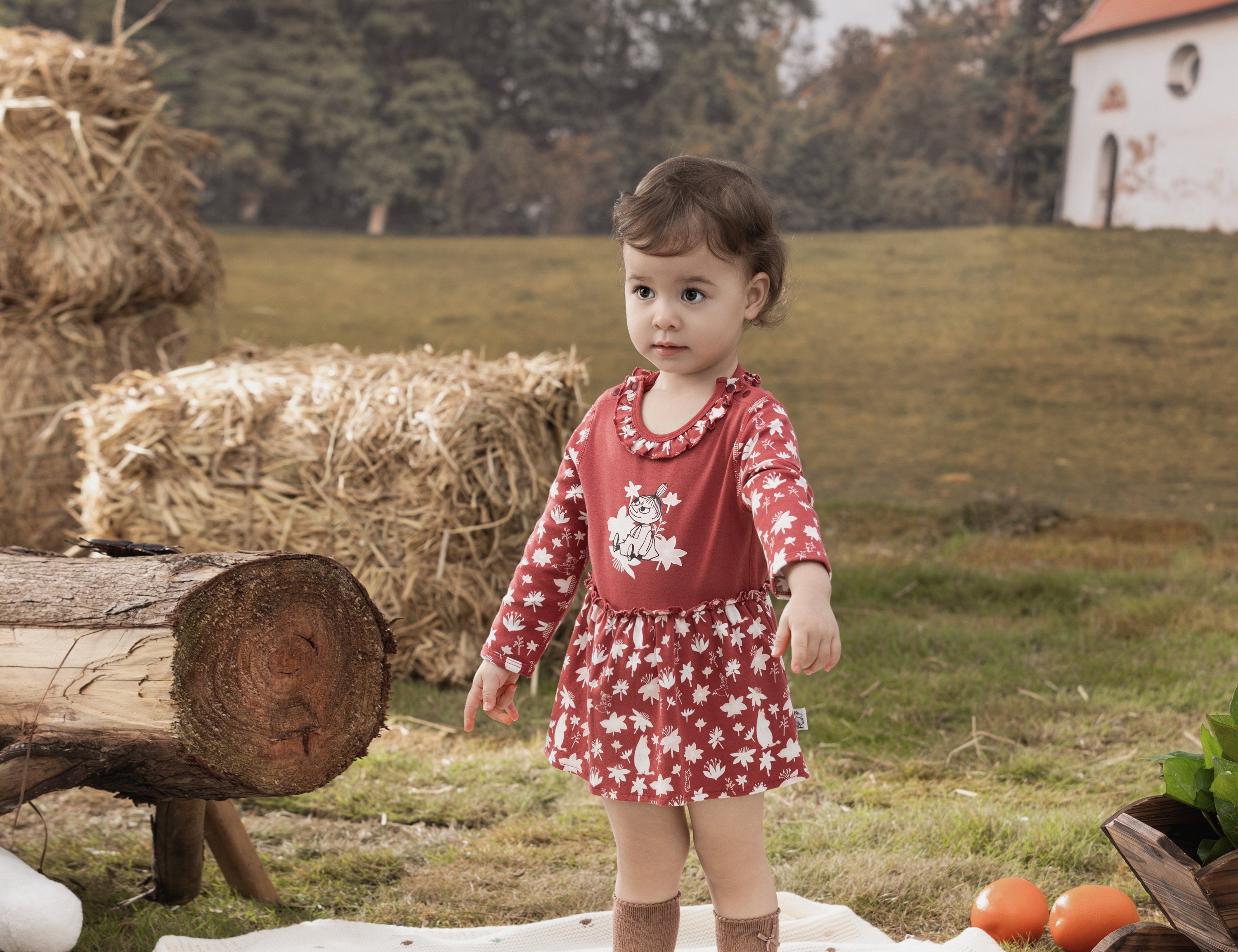 Baby Girls Cotton Long Sleeve Bodysuit