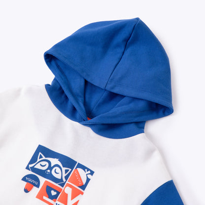 Boys Raccoon Love Eat Hoodie
