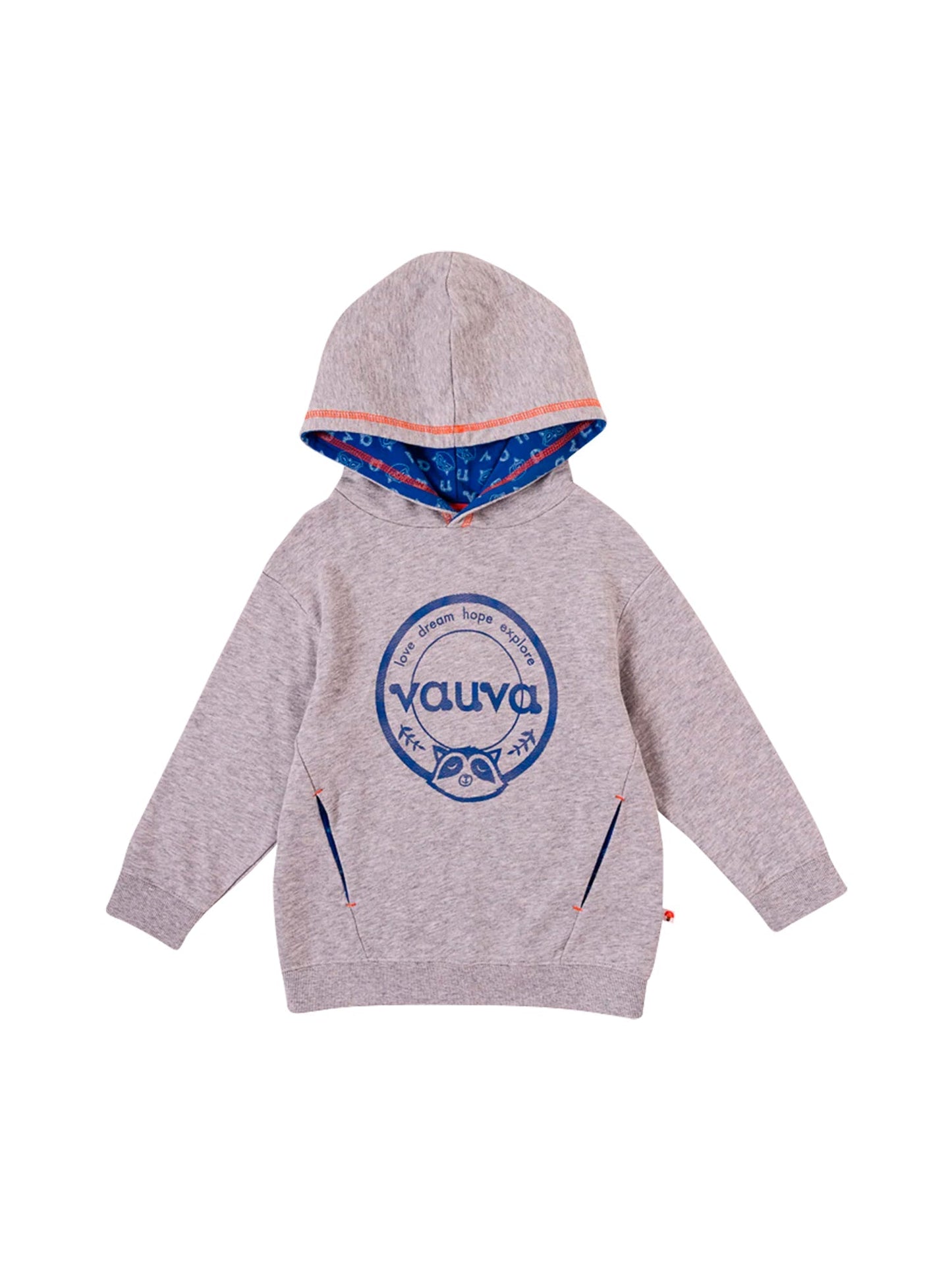 Boys Raccoon Love Dream Hope Explore Hoodie