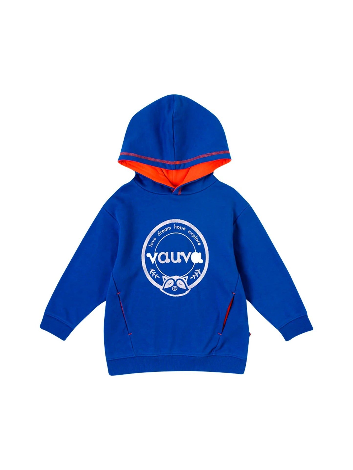 Boys Raccoon Love Dream Hope Explore Hoodie