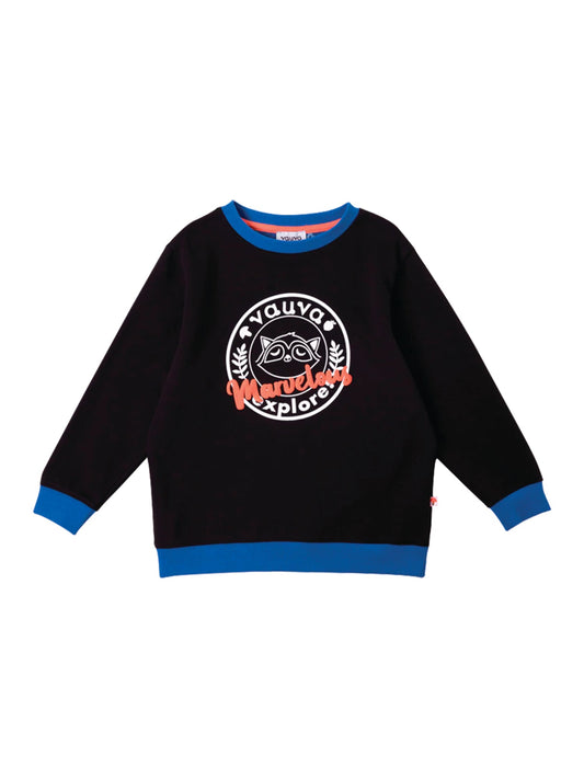 Boys Raccoon Marvelous Sweatshirt
