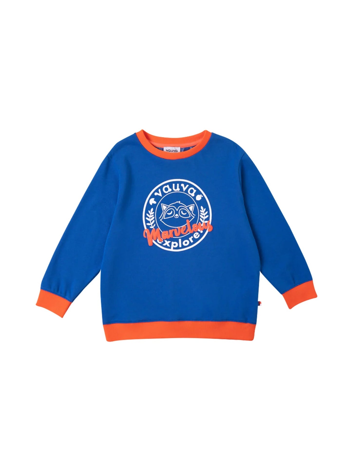 Boys Raccoon Marvelous Sweatshirt