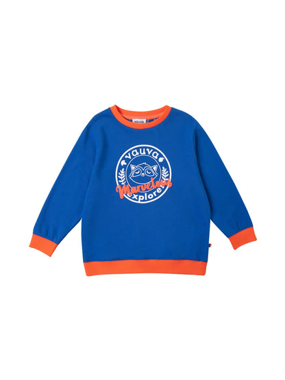 Boys Raccoon Marvelous Sweatshirt