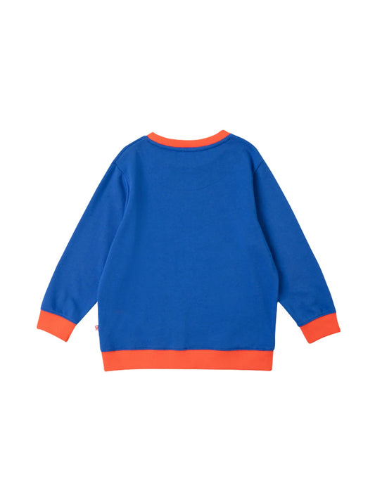 Boys Raccoon Marvelous Sweatshirt