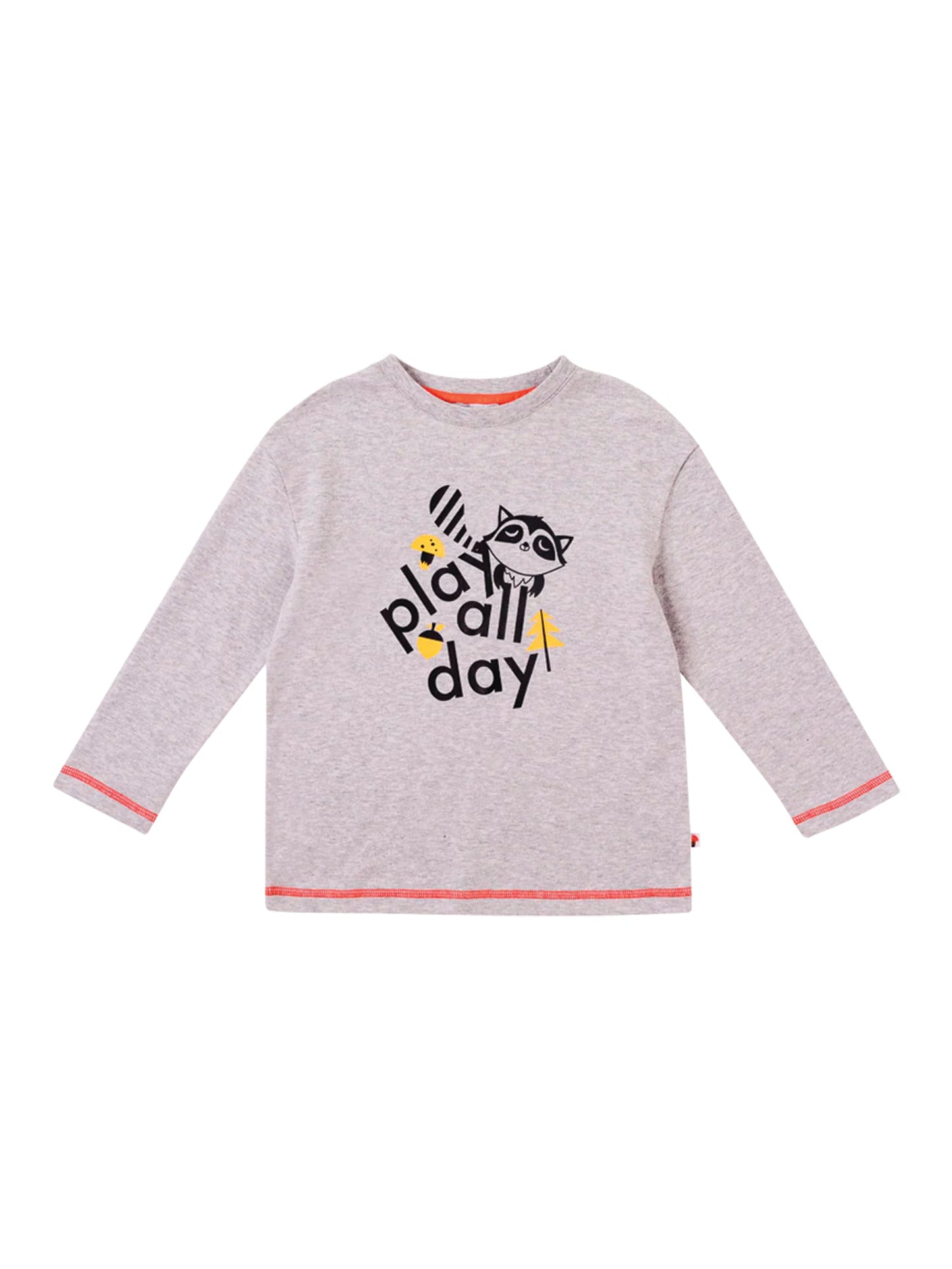 Boys Raccoon Play All Day Long Sleeves Tee