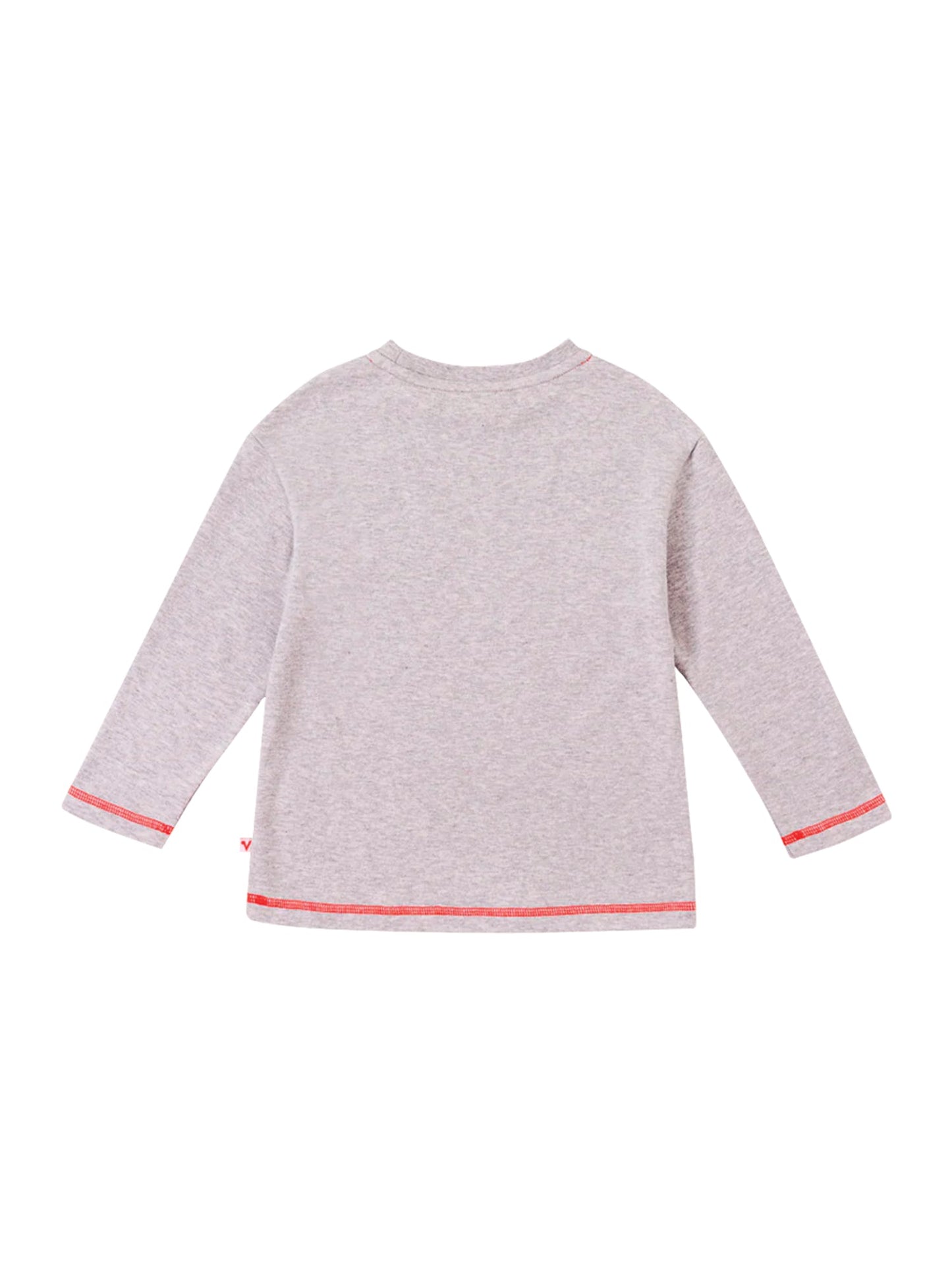 Boys Raccoon Play All Day Long Sleeves Tee