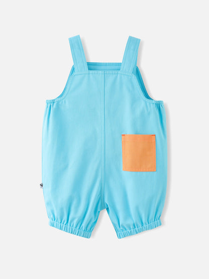 Baby Boys Dungarees