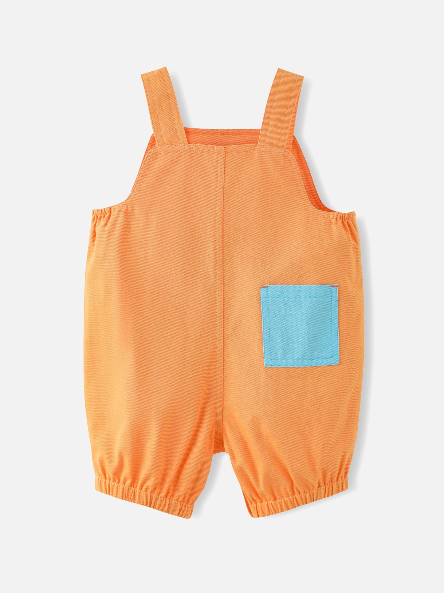 Baby Boys Dungarees