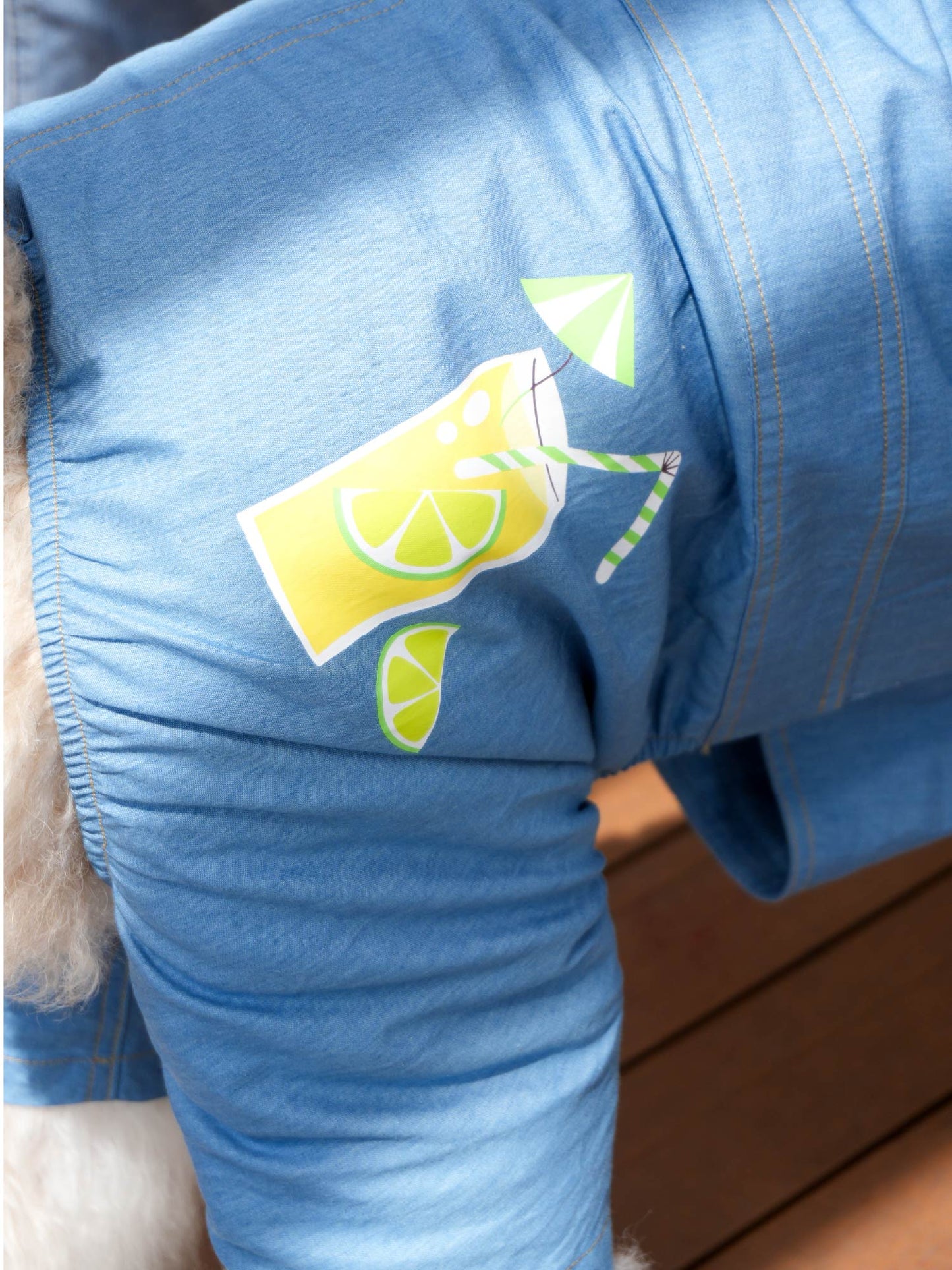 Dogs' Dungarees