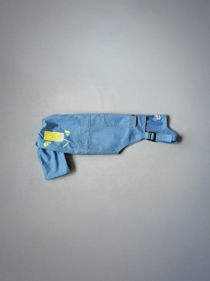 Dogs' Dungarees
