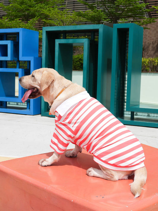 Dogs' Stripe Short-Sleeved Polo-Shirt