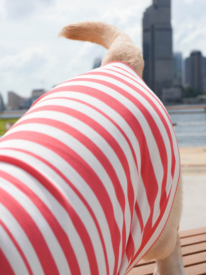 Dogs' Stripe Short-Sleeved Polo-Shirt