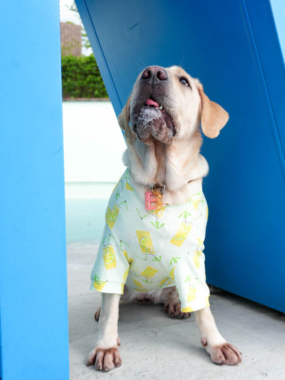 Dogs' Allover Print Short-Sleeved T-Shirt