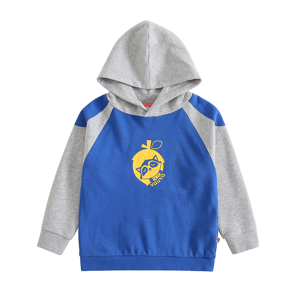 Boys Raccoon Love Nuts Hoodie