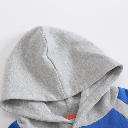 Boys Raccoon Love Nuts Hoodie