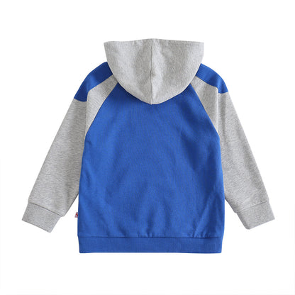 Boys Raccoon Love Nuts Hoodie