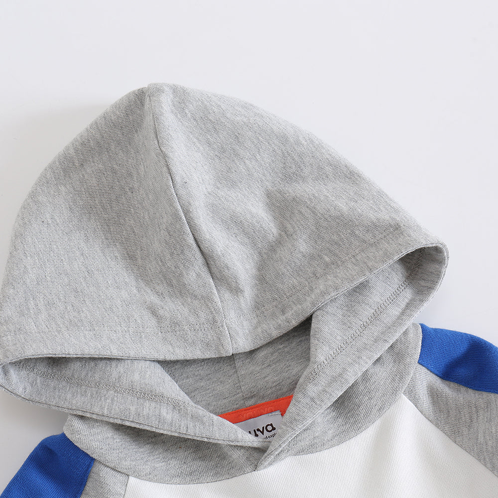 Boys Raccoon Love Nuts Hoodie