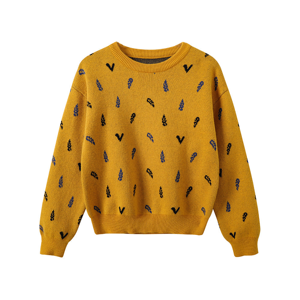 Boys Embroidered Cotton Pullover