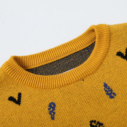 Boys Embroidered Cotton Pullover