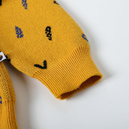 Boys Embroidered Cotton Pullover