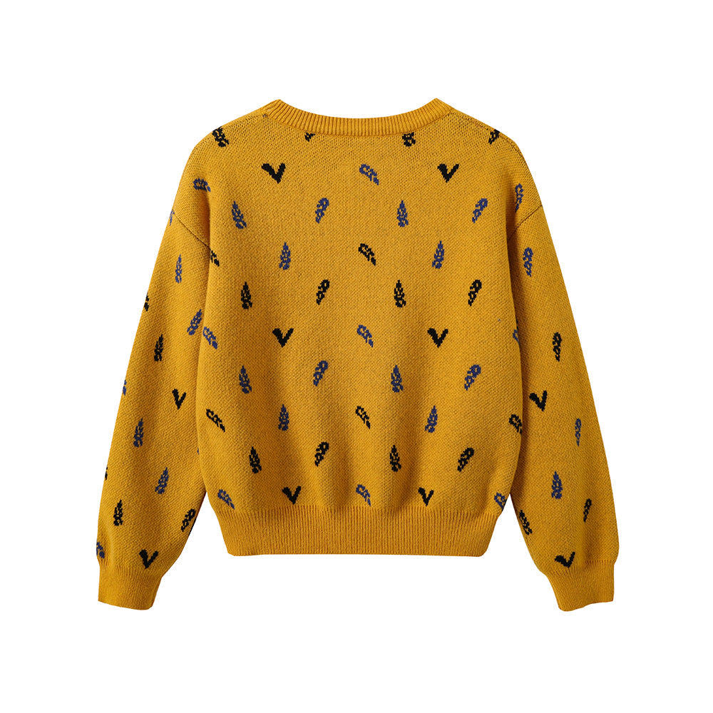 Boys Embroidered Cotton Pullover
