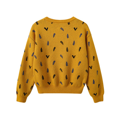 Boys Embroidered Cotton Pullover