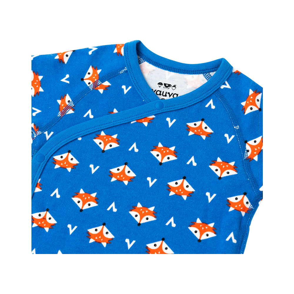 Organic Cotton Baby 2-Packs Fox-Print Bodysuits