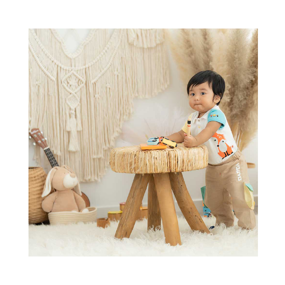 Organic Cotton Baby 2-Packs Fox & Bear Bodysuits