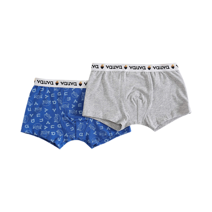 Boys Organic Cotton Underwear / Grey