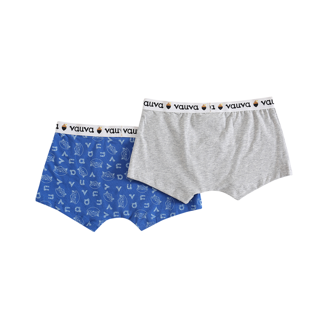 Boys Organic Cotton Underwear / Grey