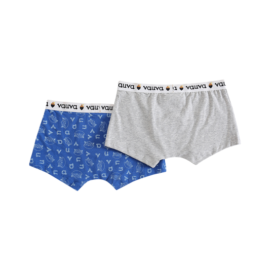 Boys Organic Cotton Underwear / Grey