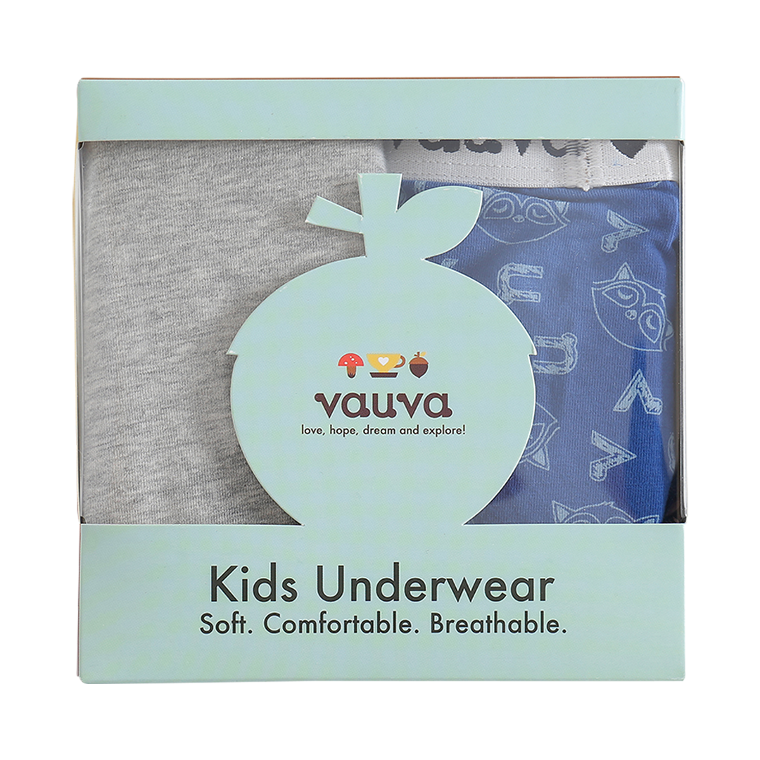 Boys Organic Cotton Underwear / Grey