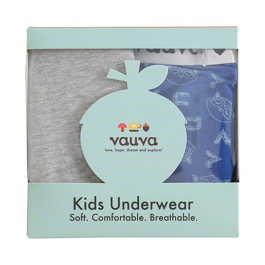 Boys Organic Cotton Underwear / Grey