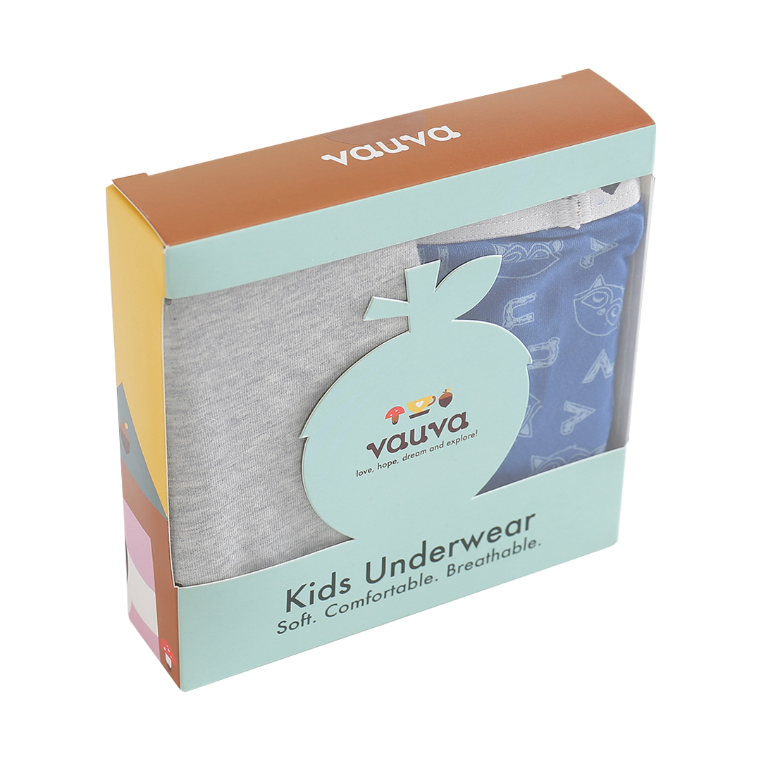 Boys Organic Cotton Underwear / Grey