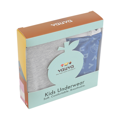 Boys Organic Cotton Underwear / Grey