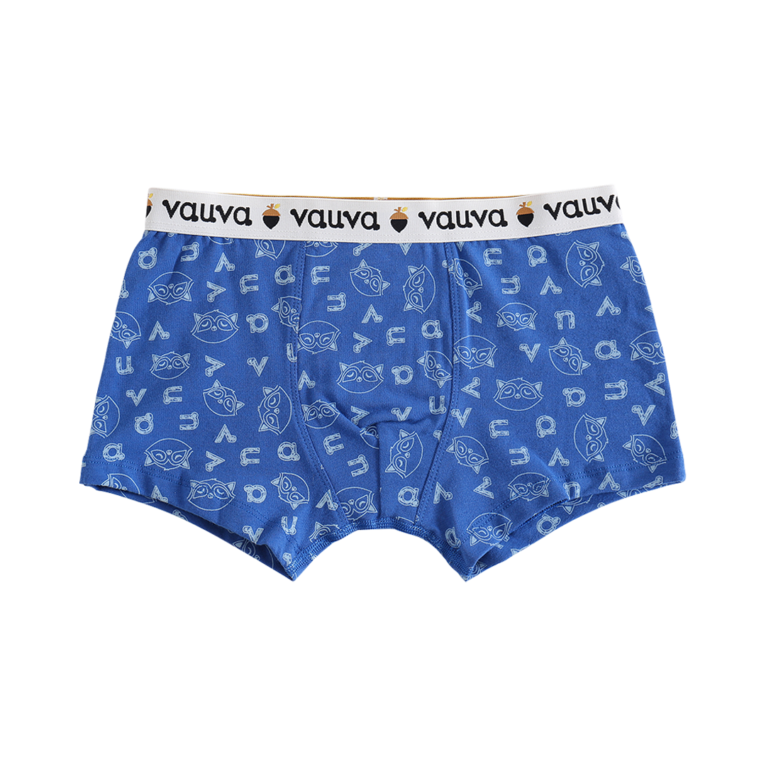 Boys Organic Cotton Underwear / Grey