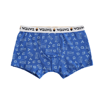 Boys Organic Cotton Underwear / Grey