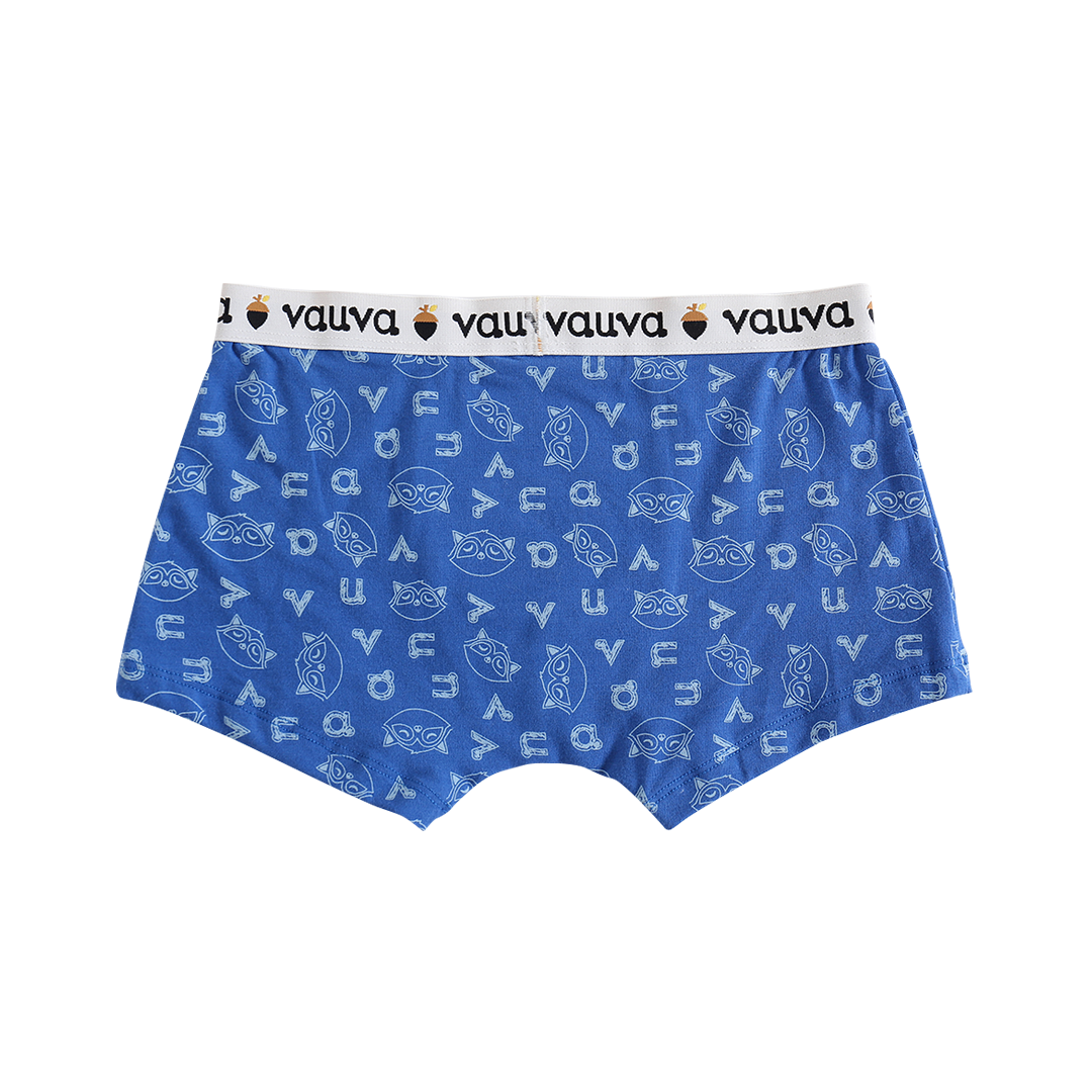 Boys Organic Cotton Underwear / Grey