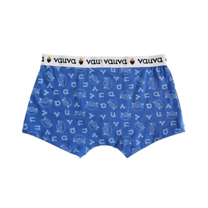 Boys Organic Cotton Underwear / Grey