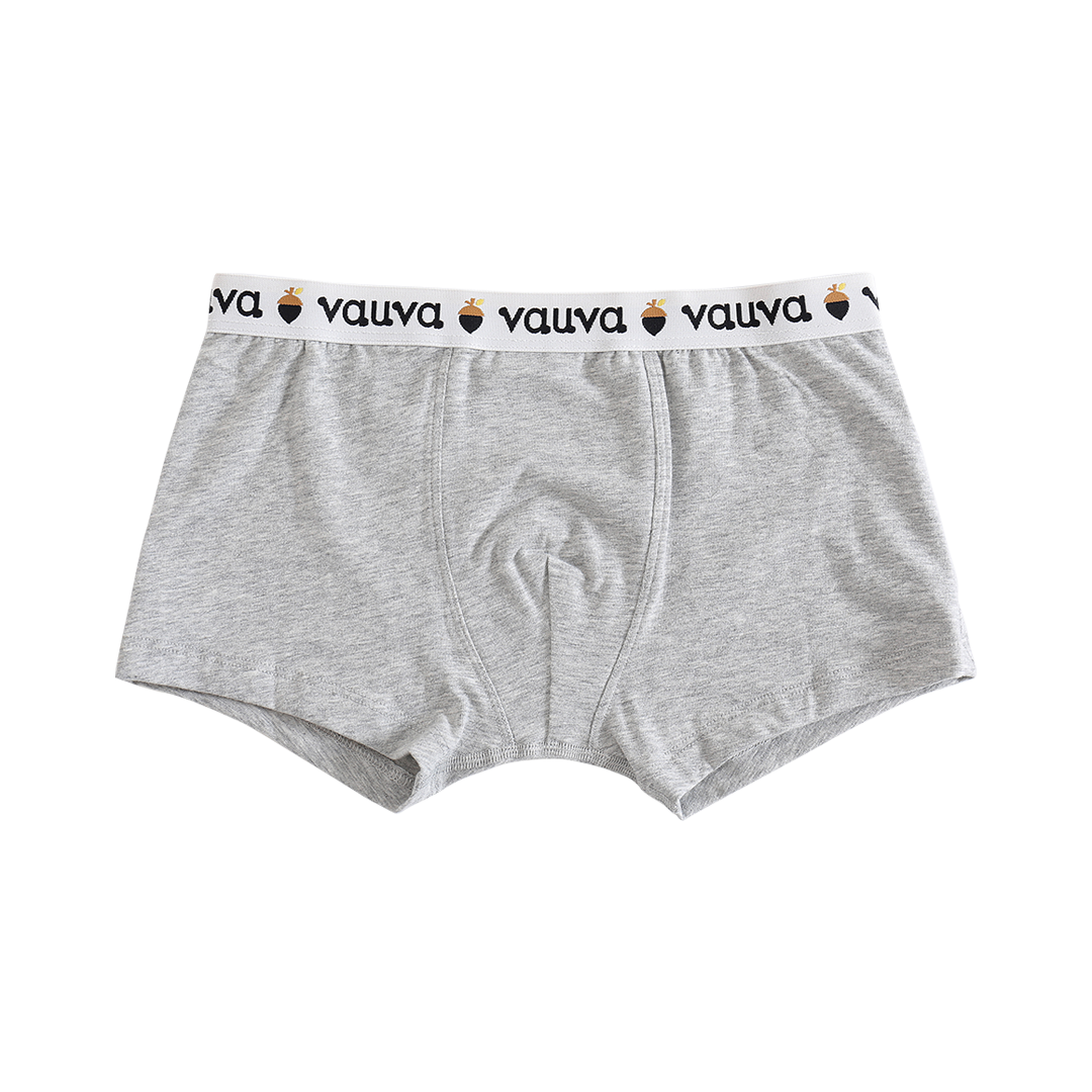 Boys Organic Cotton Underwear / Grey
