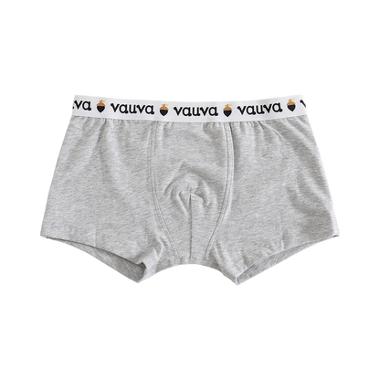 Boys Organic Cotton Underwear / Grey
