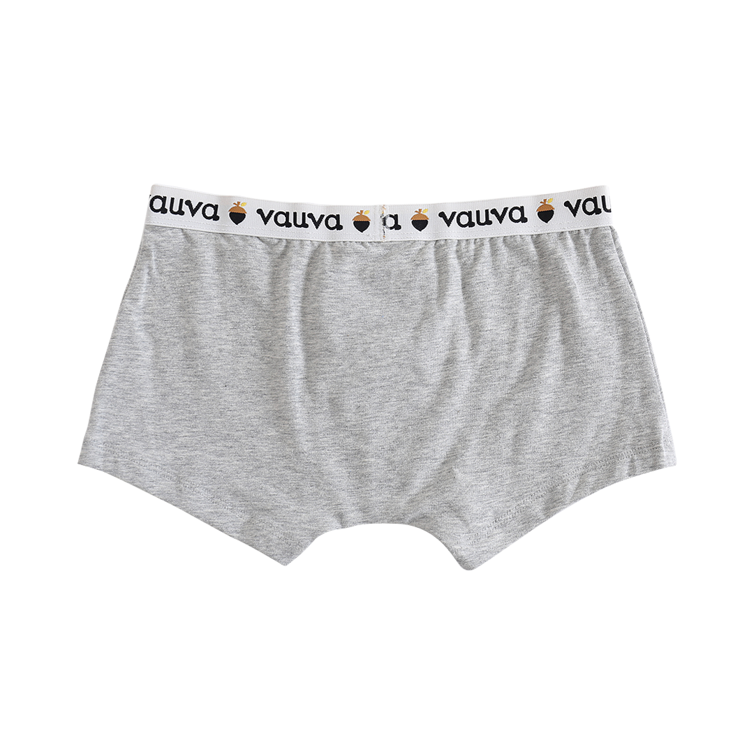 Boys Organic Cotton Underwear / Grey